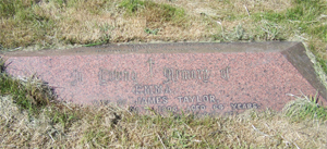 Taylor
